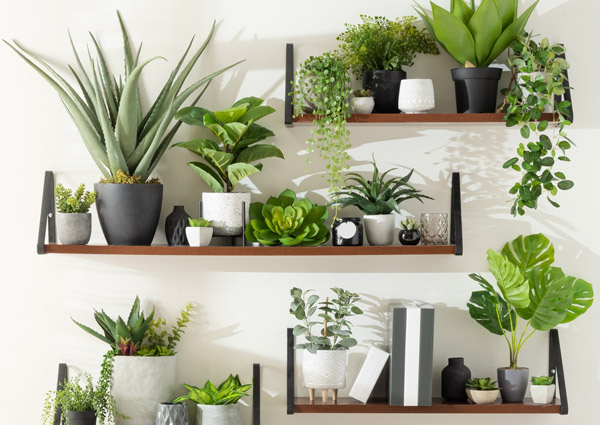 Use Wall-Mounted Shelves with Art and Greenery